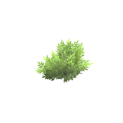 bush_a Variant